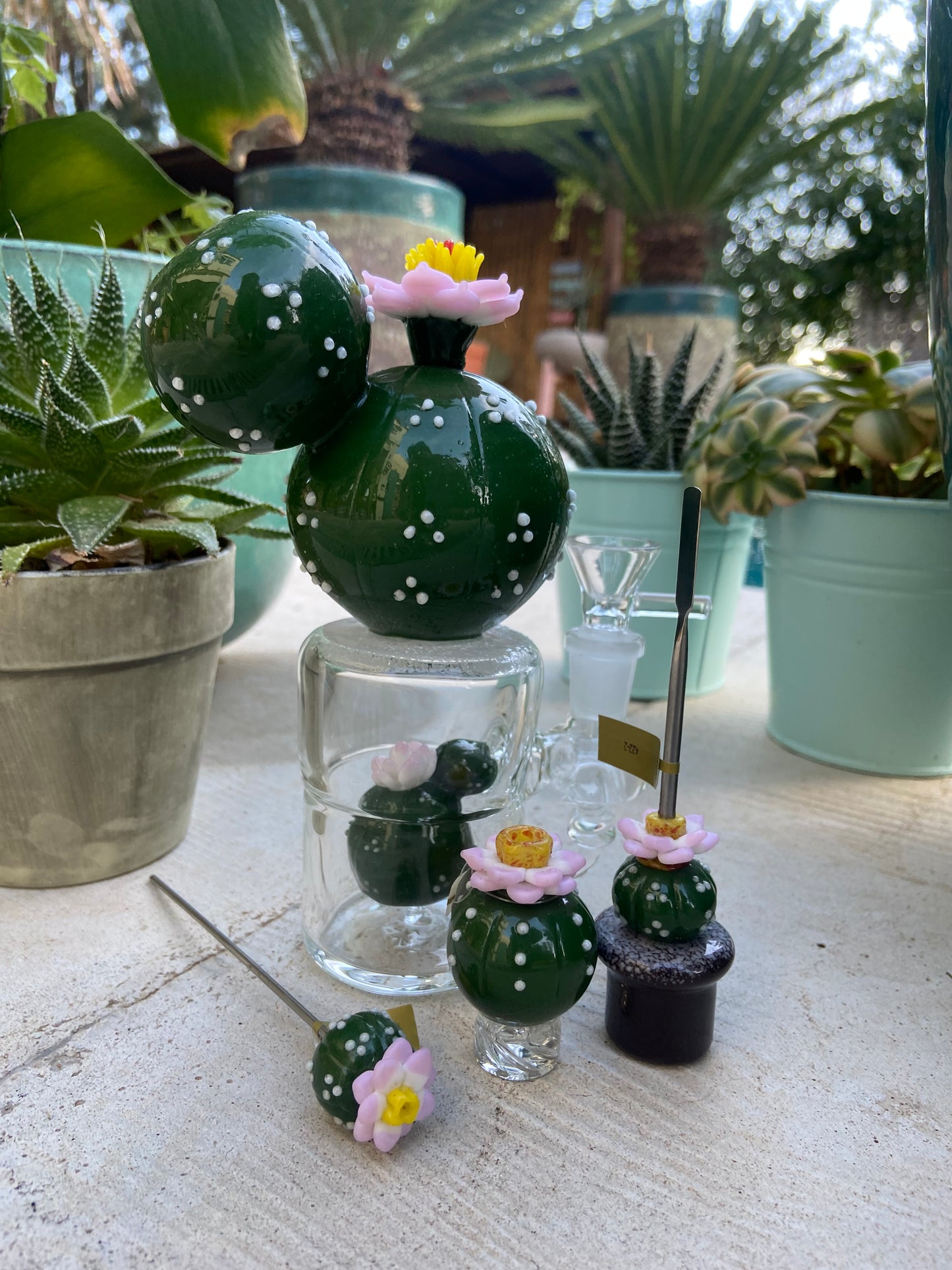 Cayote Cactus Set