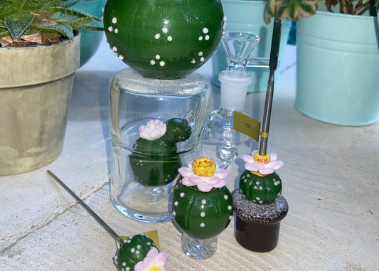 Cayote Cactus Set